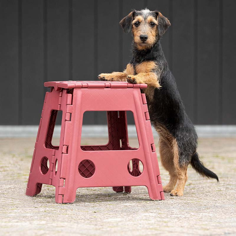 Opvouwbare Kruk Step-Up Bordeaux