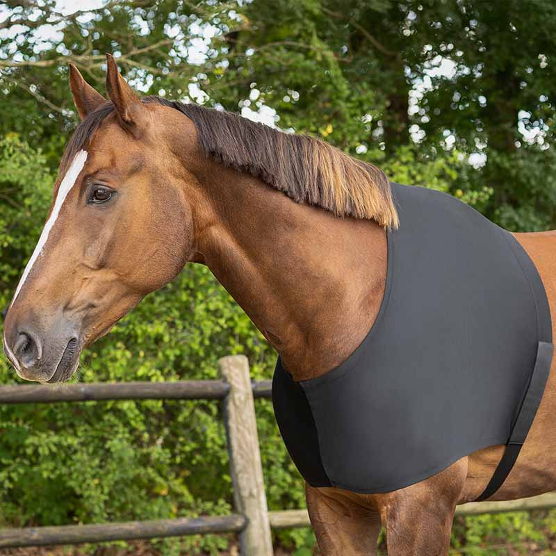 Schouderbeschermers Elastic Zwart