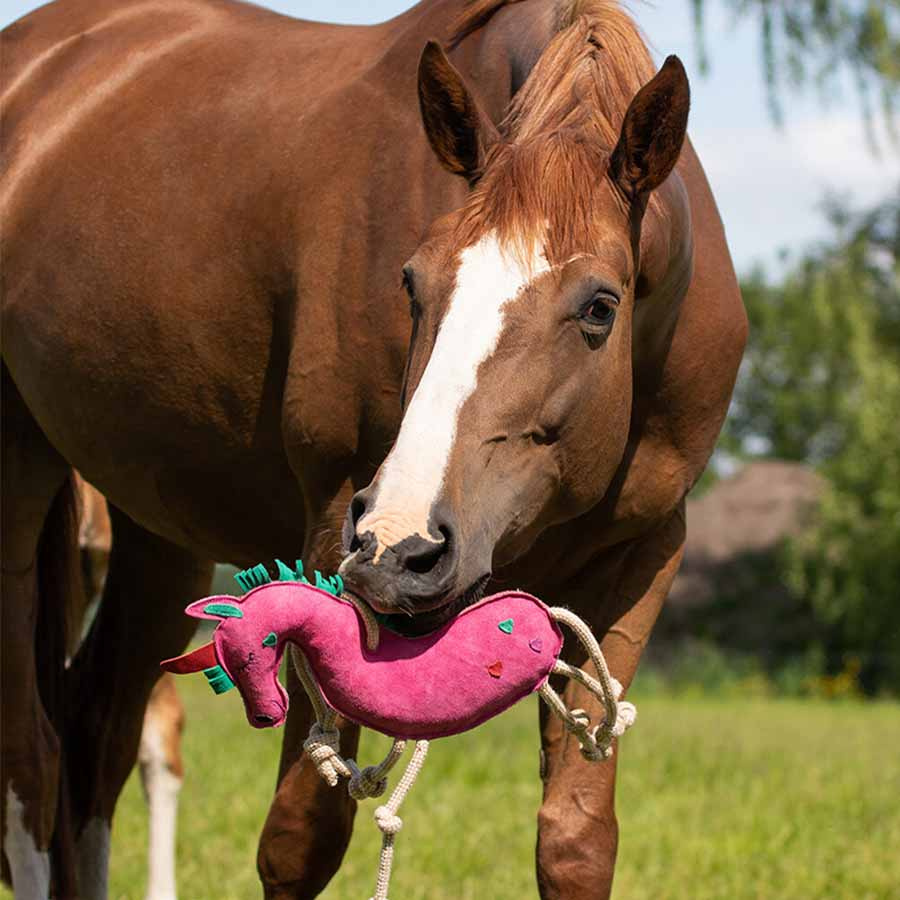 Paarden Speelgoed Eenhoorn in Suède ECO Roze