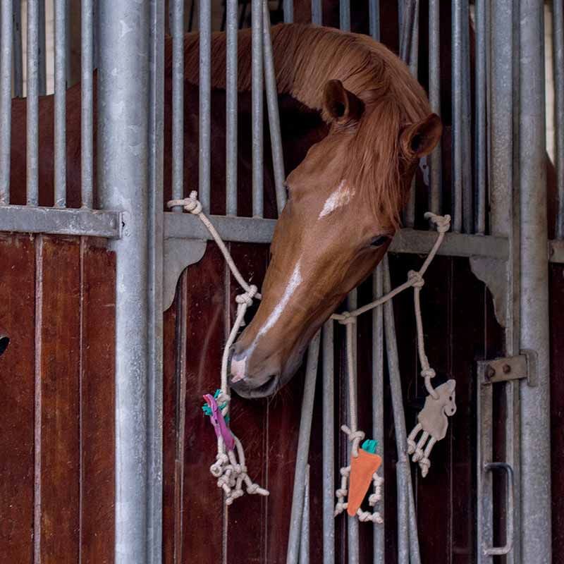 Paarden Speelgoed Box Hanger in Suède