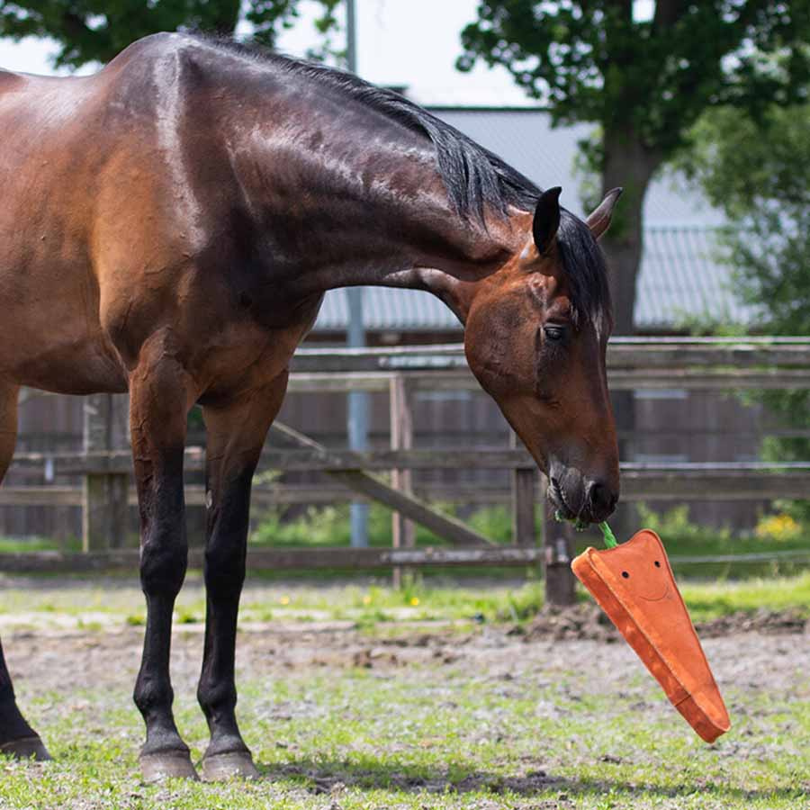 Paarden Speelgoed Wortel XL in Suède ECO Oranje