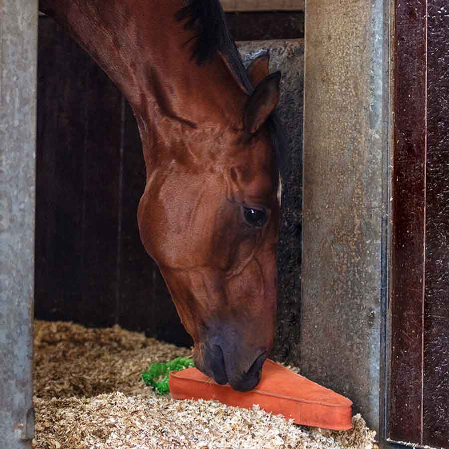 Paarden Speelgoed Wortel XL in Suède ECO Oranje