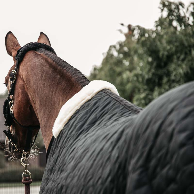 Staldeken 400g Zwart