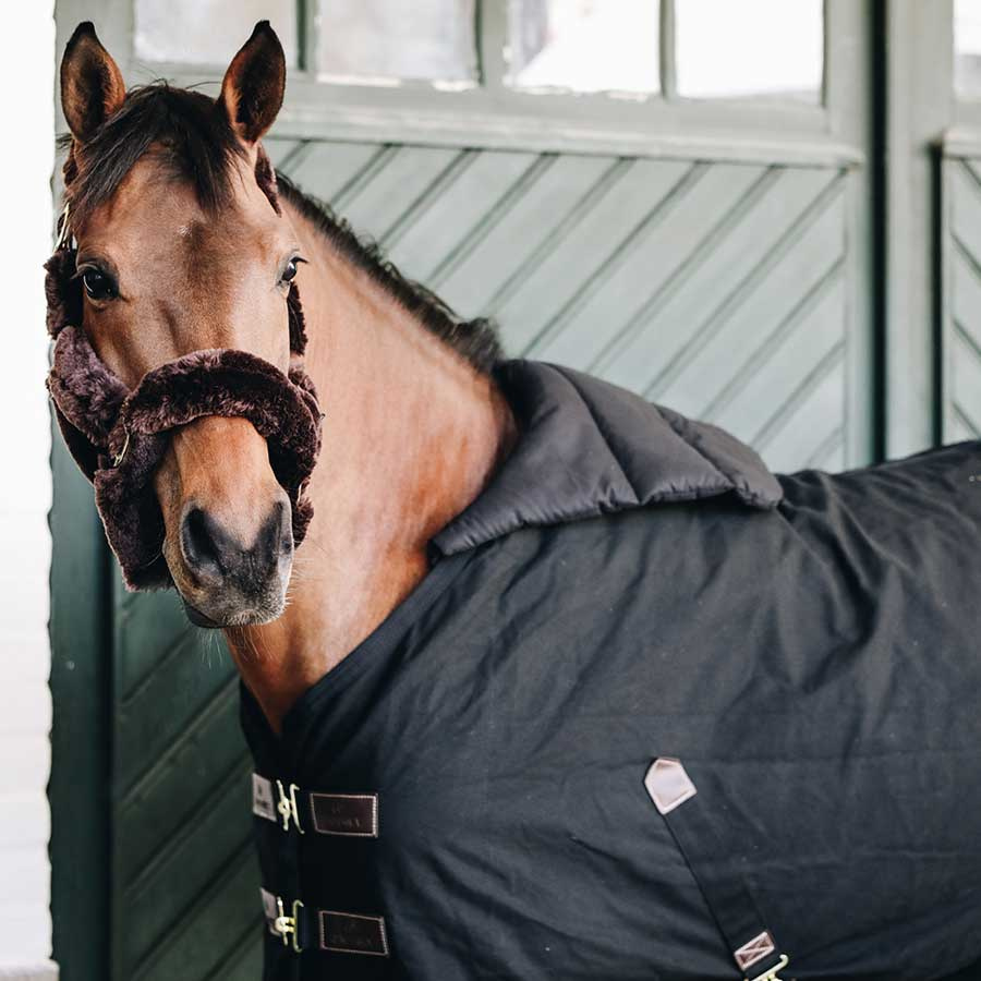 Schouderbeschermer Horse BIB Zomer Zwart Full