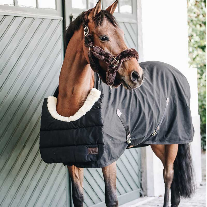 Schouderbeschermer Horse BIB Winter Zwart