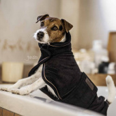 Hondendeken Towel Zwart