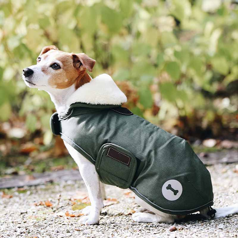 Hondendeken Waterproof 300g Olijfgroen
