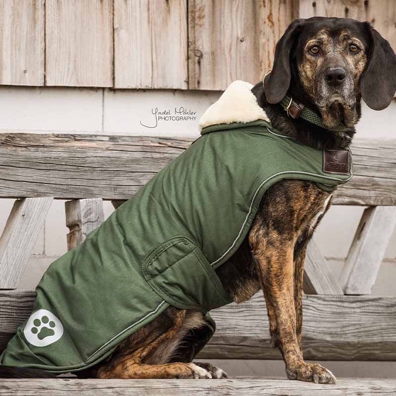 Hondendeken Waterproof 300g Olijfgroen
