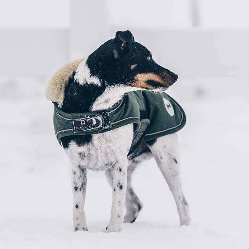 Hondendeken Waterproof 300g Olijfgroen