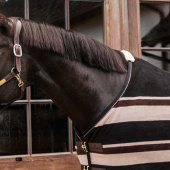 Fleecedeke Heavy Stripes Bruin Fleecedeke Heavy Stripes Bruin