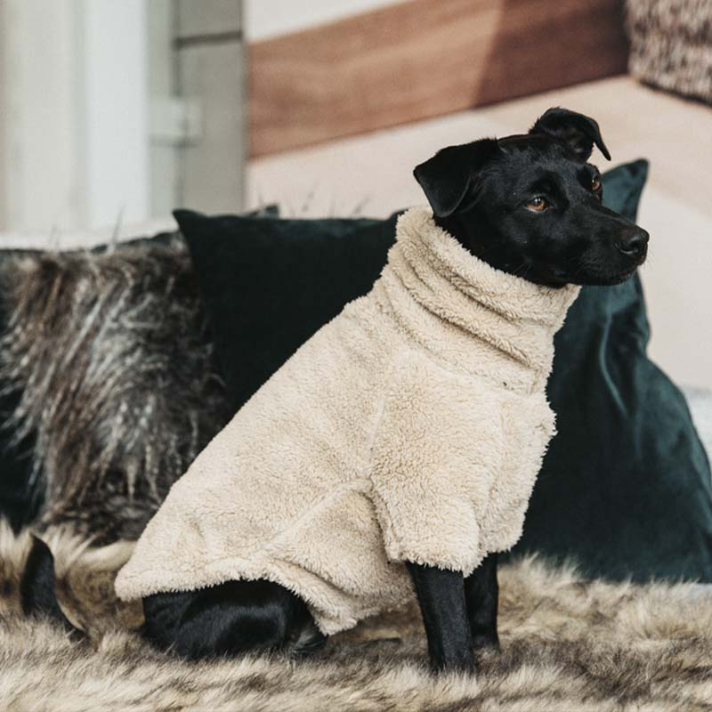 Honden trui Teddy Fleece Beige