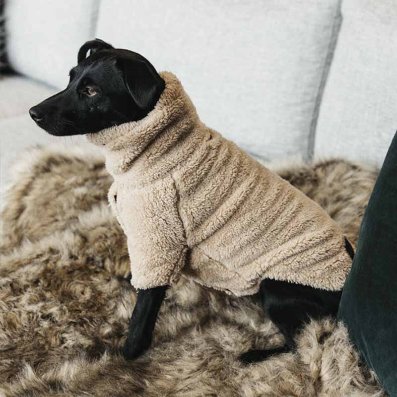 Honden trui Teddy Fleece Beige