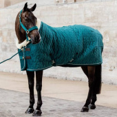 Wedstrijddeken Velvet Emerald Wedstrijddeken Velvet Emerald