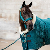 Wedstrijddeken Velvet Emerald Wedstrijddeken Velvet Emerald