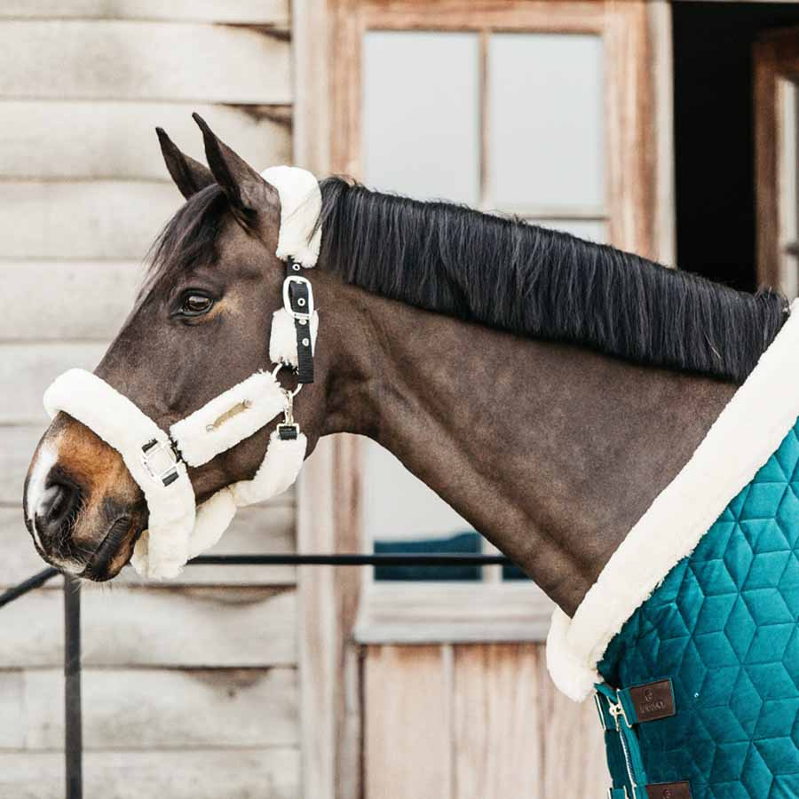 Wedstrijddeken Velvet Emerald