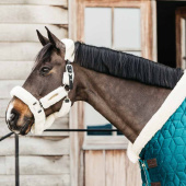 Wedstrijddeken Velvet Emerald Wedstrijddeken Velvet Emerald