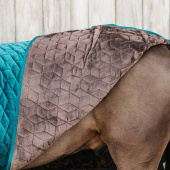 Wedstrijddeken Velvet Emerald Wedstrijddeken Velvet Emerald