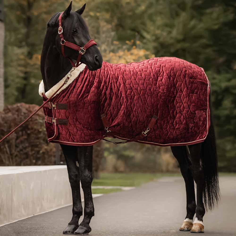 Wedstrijddeken Velvet Bordeaux