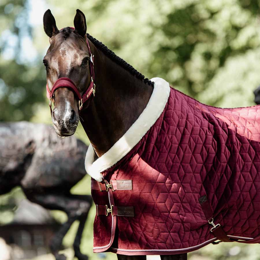 Wedstrijddeken Velvet Bordeaux