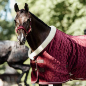 Wedstrijddeken Velvet Bordeaux Wedstrijddeken Velvet Bordeaux