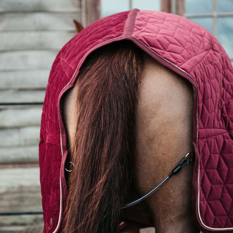 Wedstrijddeken Velvet Bordeaux