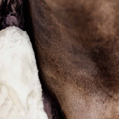 Borstverlenger Vegan Sheepskin 1 Buckle Natuur Borstverlenger Vegan Sheepskin 1 Buckle Natuur