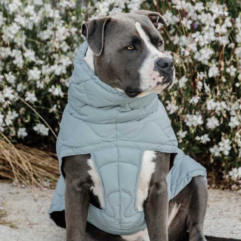 Hondenjas Winter Pina 160g Blauw