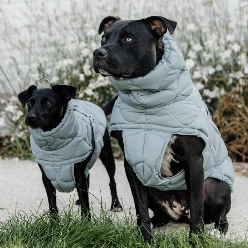 Hondenjas Winter Pina 160g Blauw