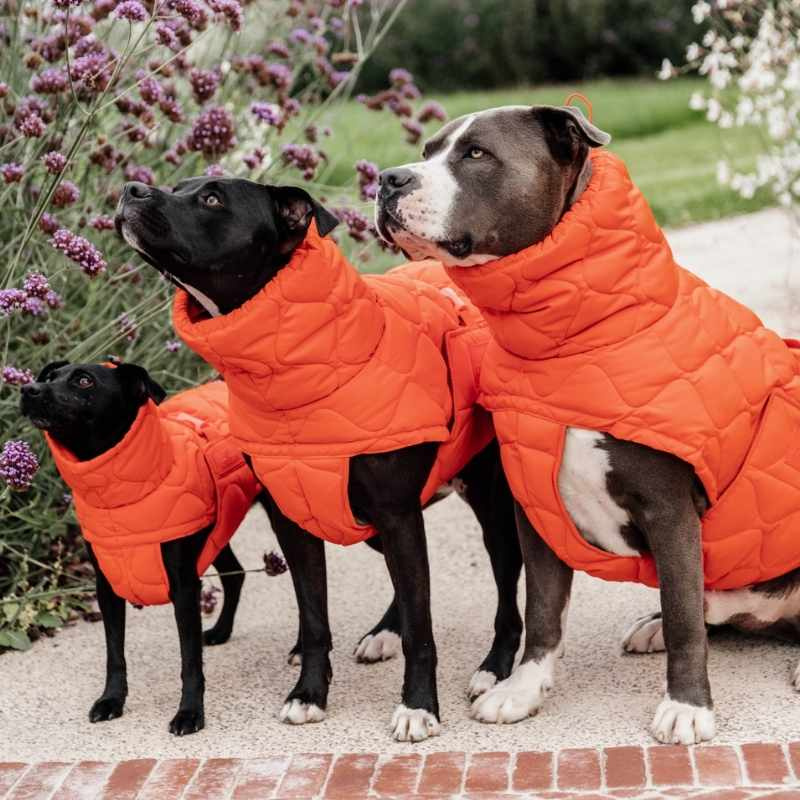 Hondenjas Winter Pina 160g Oranje