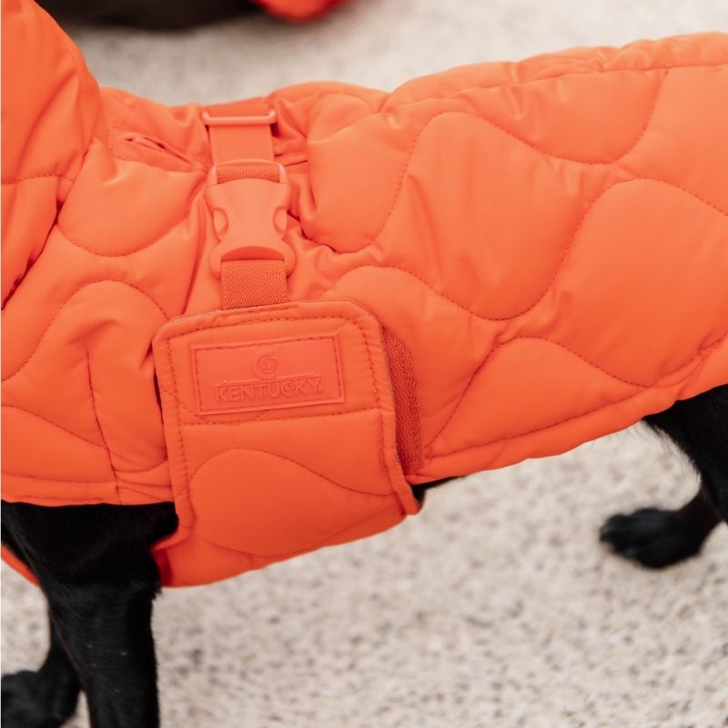 Hondenjas Winter Pina 160g Oranje