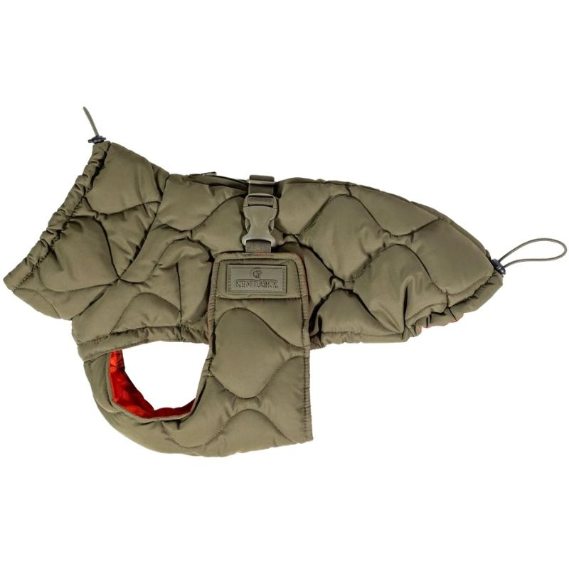 Hondenjas Winter Pina 160g Groen