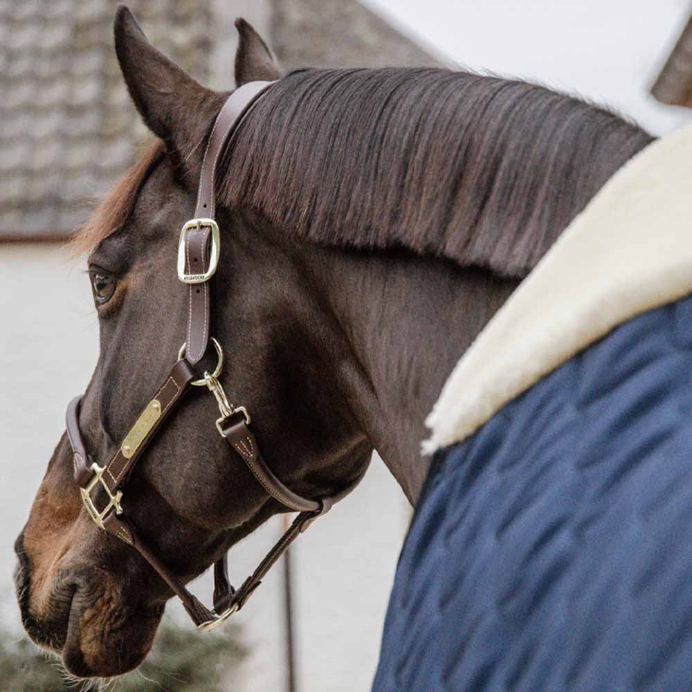 Staldeken Comfort 200g Marineblauw