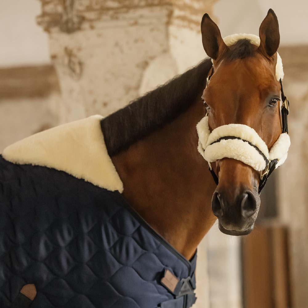 Staldeken Comfort 300g Marineblauw