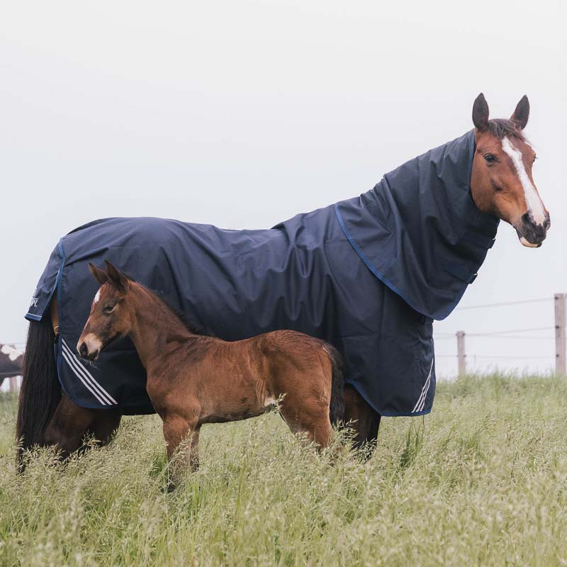 Halsstuk All Weather Waterproof Comfort 200g Marineblauw