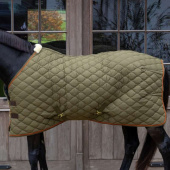 Staldeken Wave 600D 160g Groen Staldeken Wave 600D 160g Groen