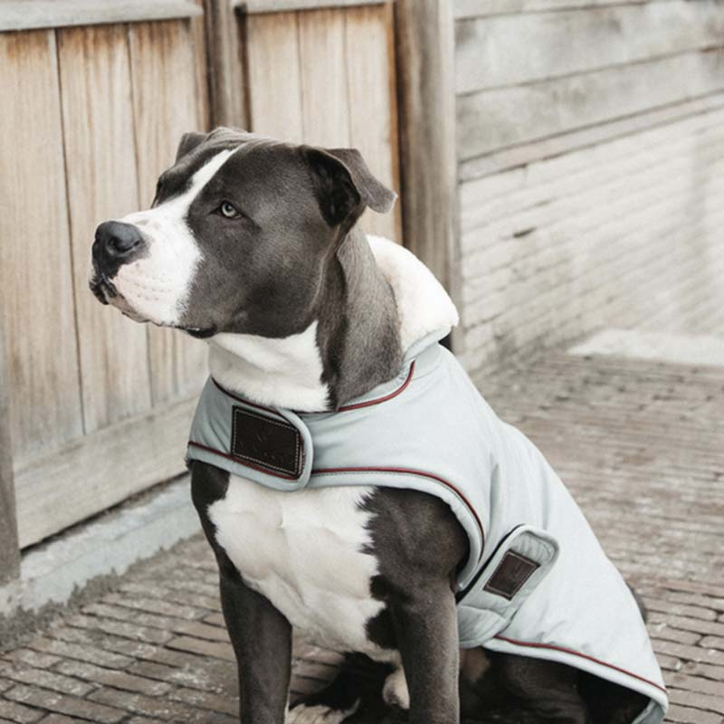 Hondendeken Waterproof 160g Blauw