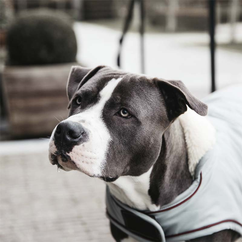 Hondendeken Waterproof 160g Blauw