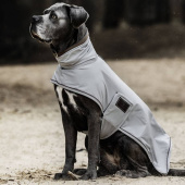 Honden Regenjas 0g Grijs Honden Regenjas 0g Grijs