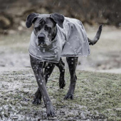 Honden Regenjas 0g Grijs Honden Regenjas 0g Grijs