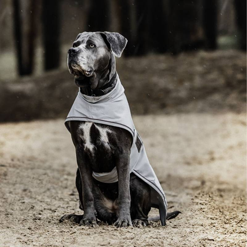 Honden Regenjas 0g Grijs