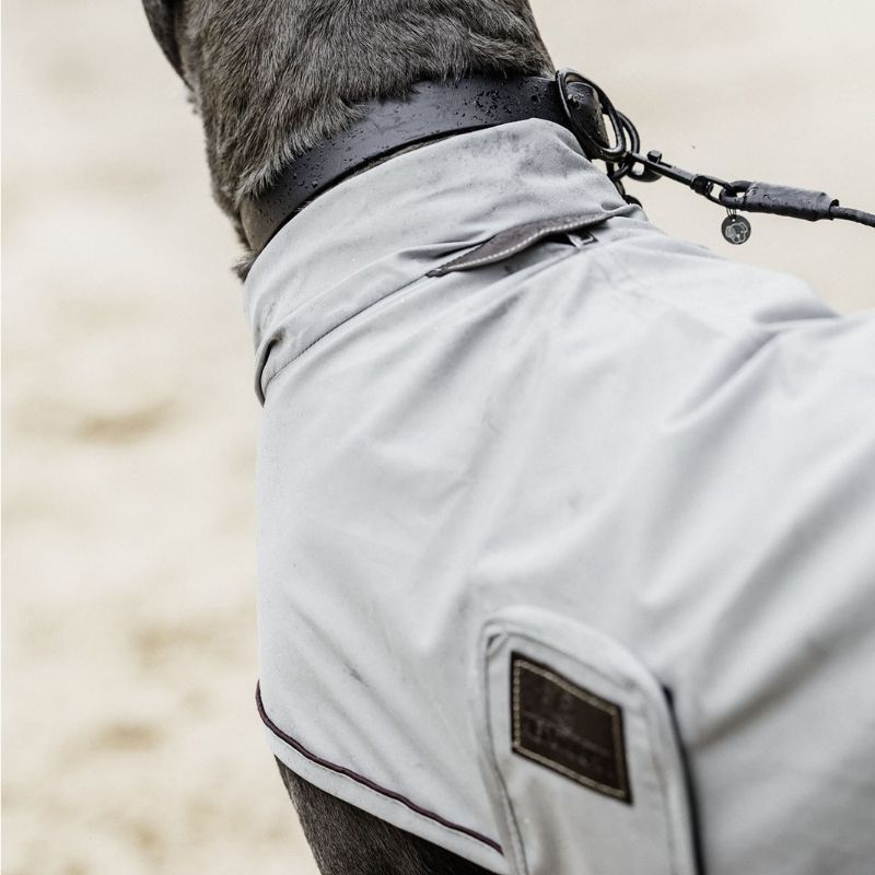 Honden Regenjas 0g Grijs