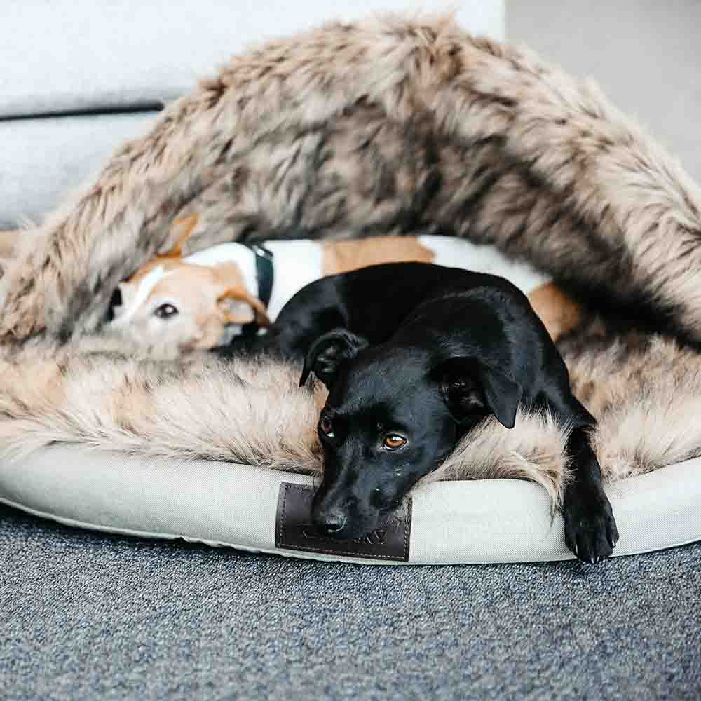 Hondenbed Igloo Beige