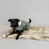 Hondenkleed Fuzzy Blanket Beige