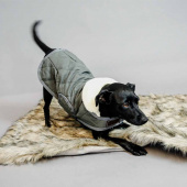 Hondenkleed Fuzzy Blanket Beige