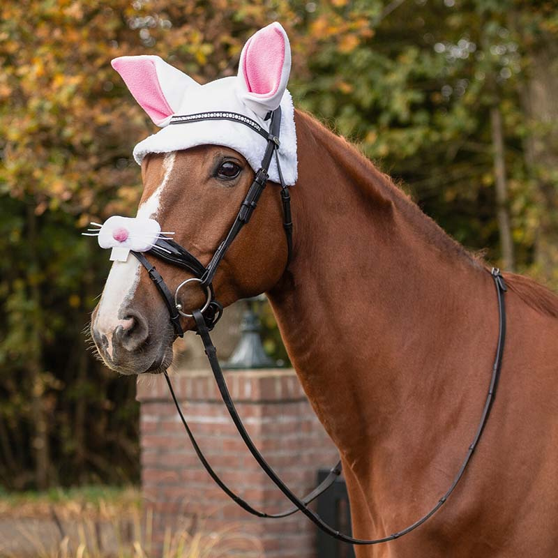Oornetje Konijnenoren Wit/Roze