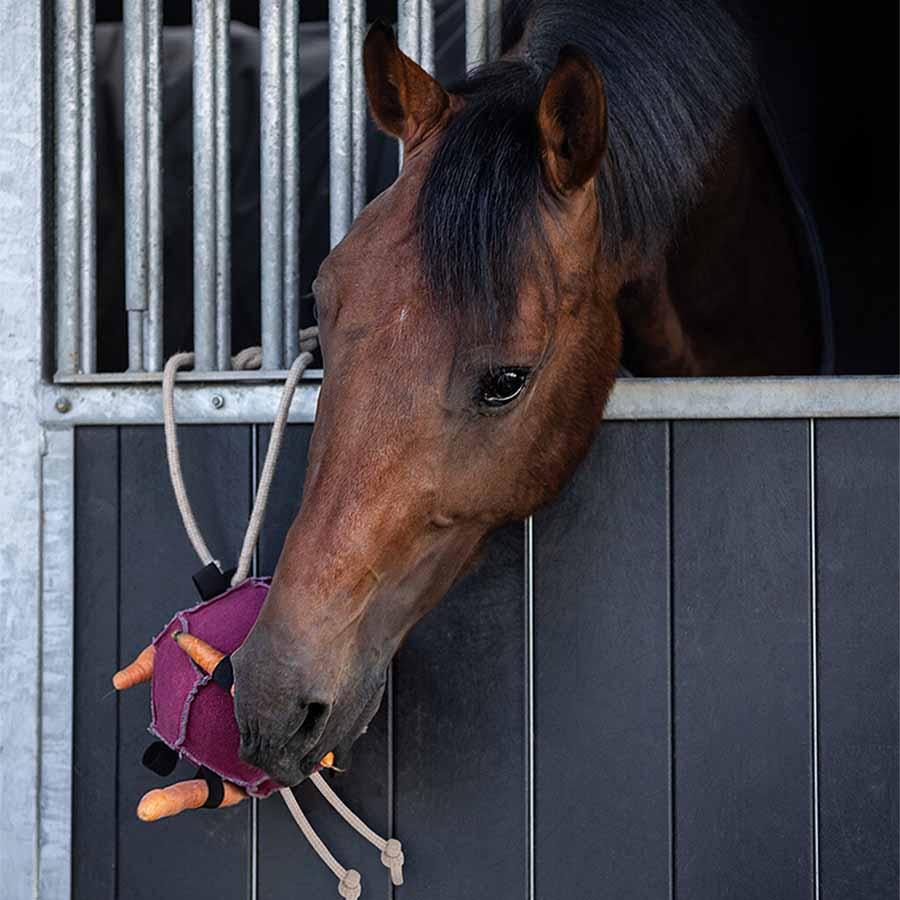 Paarden Speelgoed Bal Loop in Suède Roze