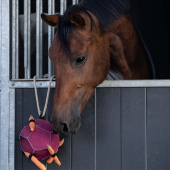 Paarden Speelgoed Bal Loop in Suède Roze