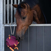 Paarden Speelgoed Bal Loop in Suède Roze Paarden Speelgoed Bal Loop in Suède Roze