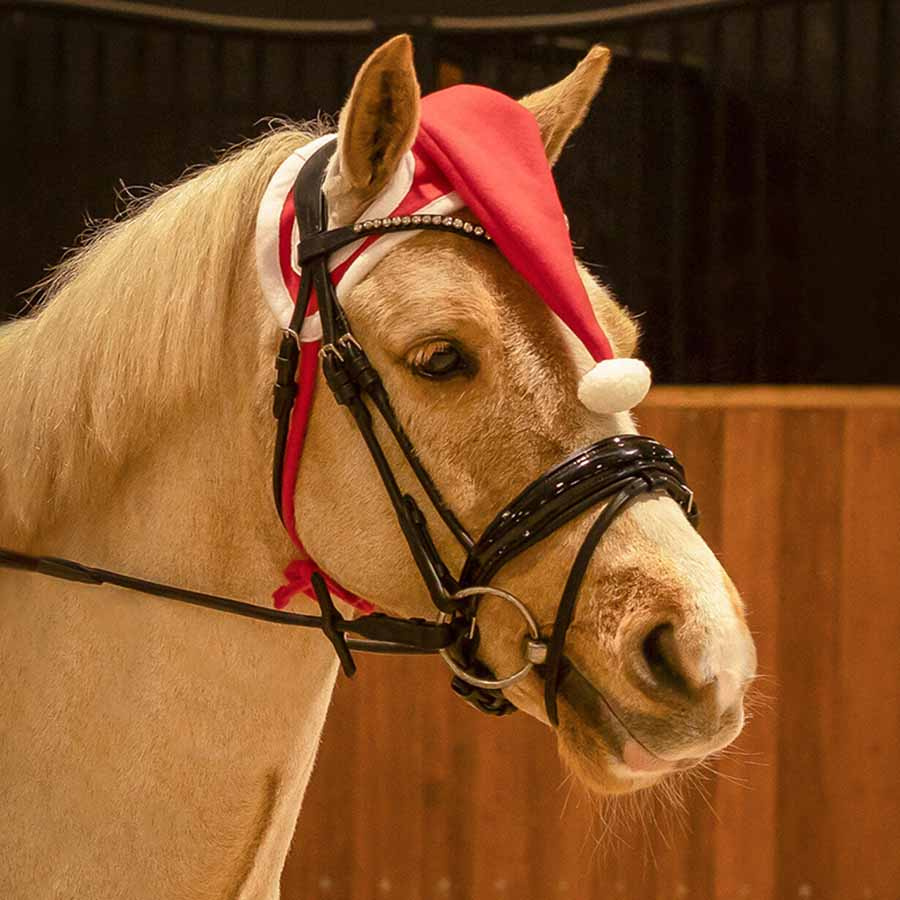 Oornetje Christmas Hat Rood/Wit