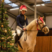 Oornetje Christmas Hat Rood/Wit Oornetje Christmas Hat Rood/Wit